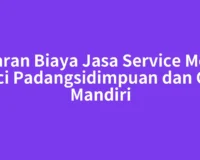 Kisaran Biaya Jasa Service Mesin Cuci Padangsidimpuan dan Cek Mandiri