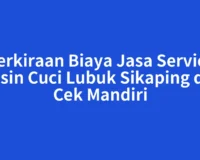 Perkiraan Biaya Jasa Service Mesin Cuci Lubuk Sikaping dan Cek Mandiri